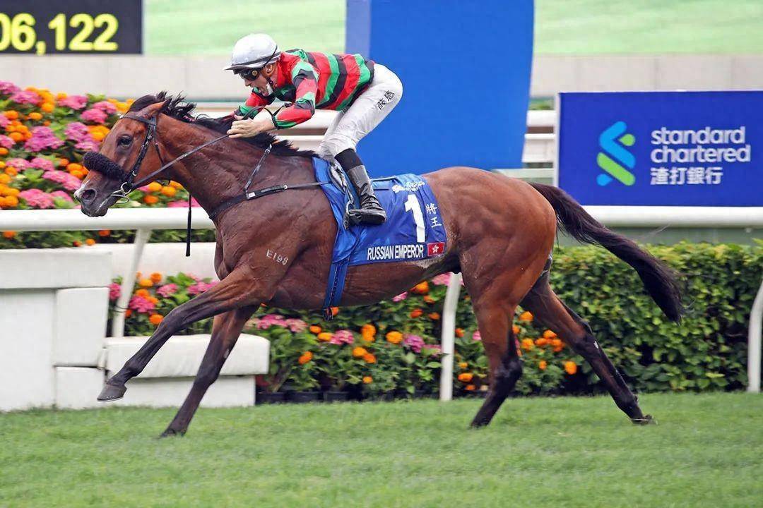 香港馬賽事，探尋賽道上的速度與激情 7777788888，香港馬賽事，賽道上的速度與激情盛宴 777778激情燃燒