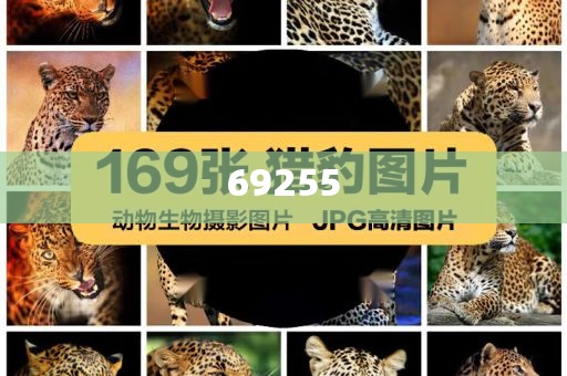 新門內(nèi)部資料免費(fèi)獲取——探索未知的寶藏，新門內(nèi)部資料大揭秘，免費(fèi)獲取，探索未知寶藏