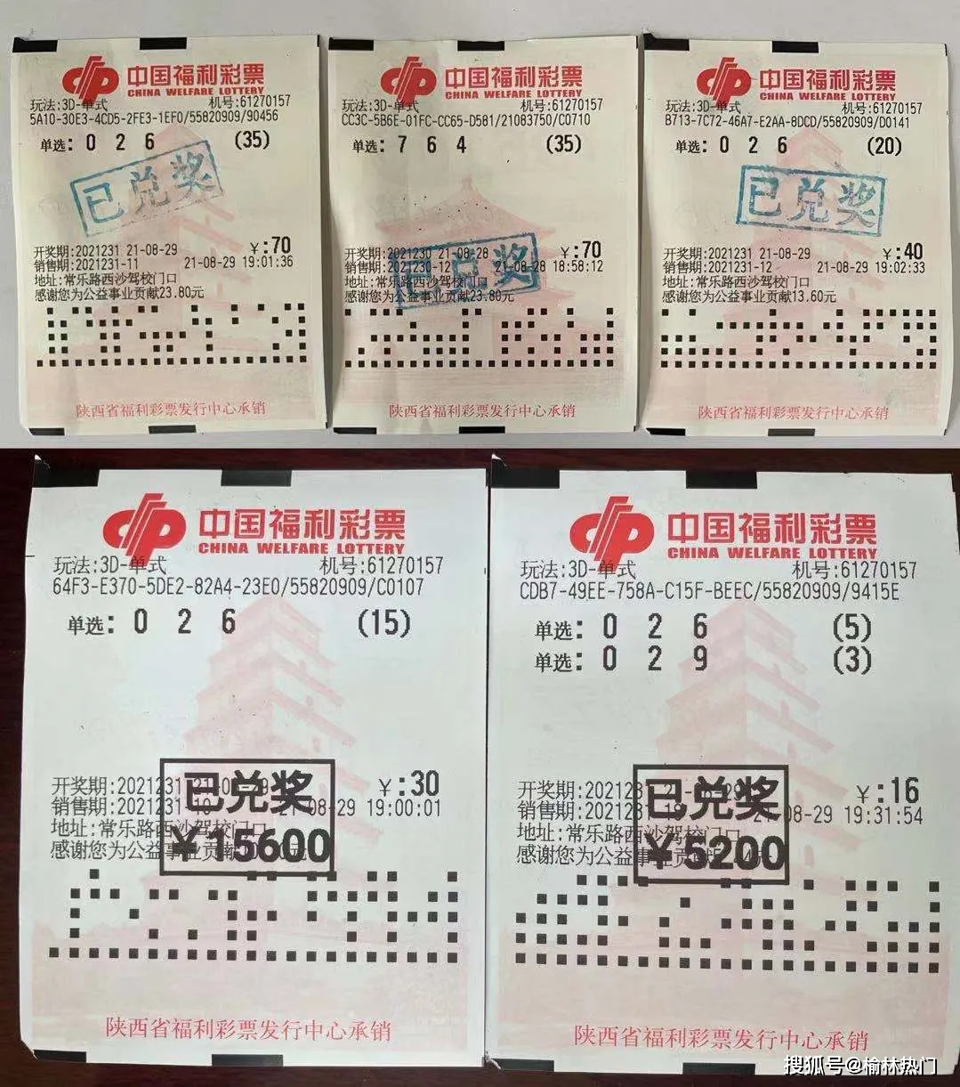 回顧歷史，揭秘2005年澳門天天彩票中獎(jiǎng)結(jié)果，揭秘澳門天天彩票歷史中獎(jiǎng)結(jié)果回顧，2005年彩票開獎(jiǎng)實(shí)錄
