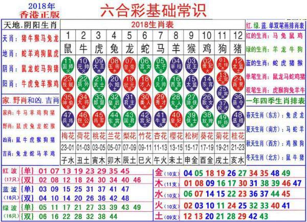 澳門生肖卡，探索未來的趨勢與預(yù)測到2025年的發(fā)展藍圖，澳門生肖卡，未來趨勢與發(fā)展藍圖至2025年探索