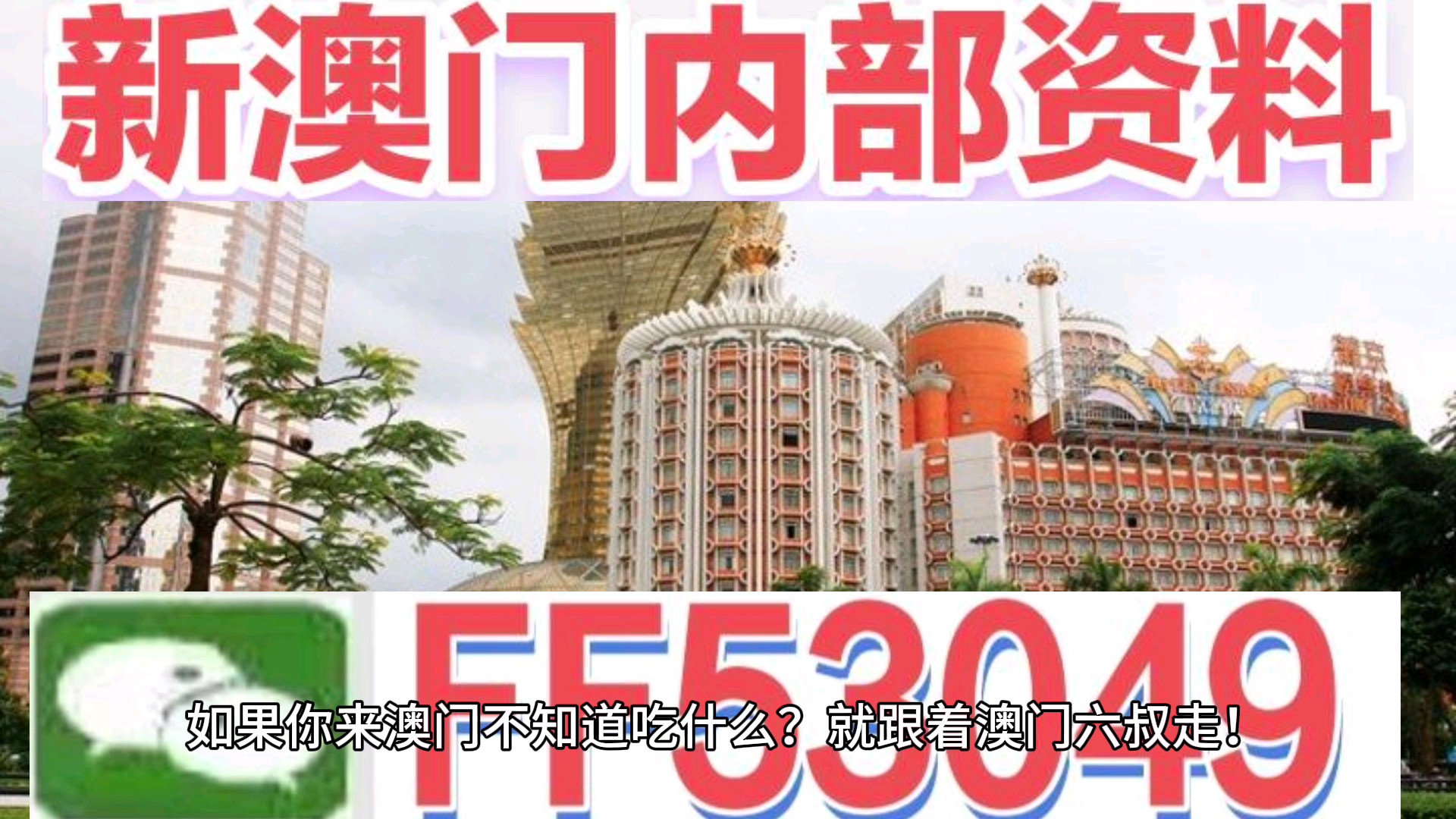 澳門今晚特馬生肖預測，深度解析與探索（2025年），澳門特馬生肖預測深度解析與探索，2025年生肖運勢展望