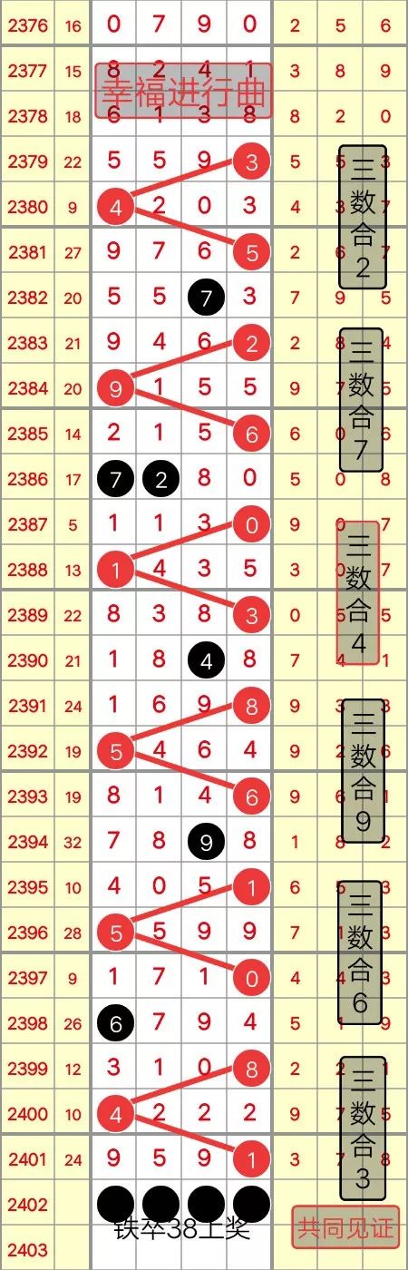 狀元紅，揭秘4987最快鐵算資料背后的秘密，狀元紅背后的秘密，揭秘最快鐵算資料4987的神秘面紗