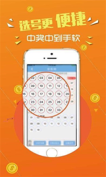 澳門王中王心水王中王，深度解析與探索，澳門王中王心水王中王深度解析與探索之旅