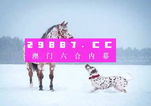 澳門一肖一碼狀元紅，揭秘彩票背后的秘密與策略，澳門彩票揭秘，狀元紅背后的秘密與策略解析