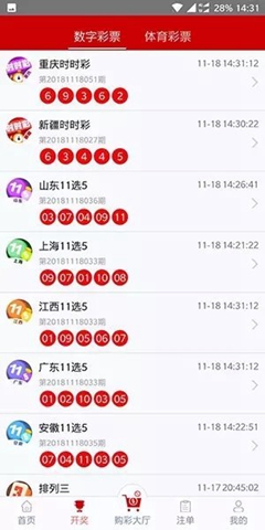 新奧49正版資料，探索與解析，新奧49正版資料深度探索與解析
