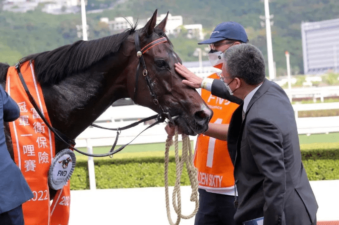 探索香港馬官網(wǎng)，最新賽事信息與獨(dú)家體驗(yàn)，香港馬官網(wǎng)探索之旅，最新賽事信息與獨(dú)家體驗(yàn)