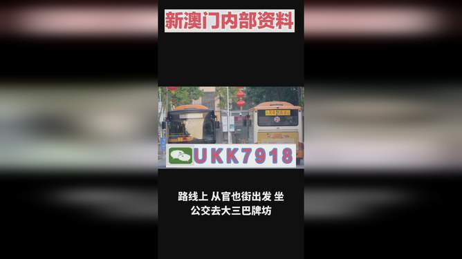 澳門彩票開獎號碼預測與探索，走向2025的未來展望，澳門彩票開獎號碼預測探索及至2025年未來展望