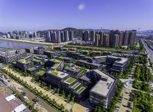 新澳門2025芳草地，探索與期待，新澳門2025芳草地，探索之旅與未來期待
