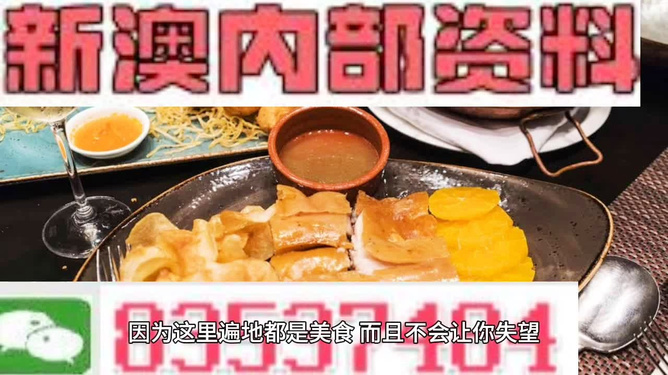 新澳門料，探索其獨特魅力與無限機遇，澳門新魅力，獨特文化與無限機遇探索