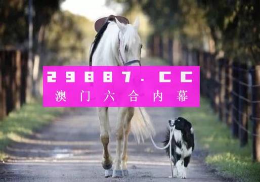 澳門(mén)彩的奧秘世界與SEO優(yōu)化策略探討 —— www.04812com的獨(dú)家解析，澳門(mén)彩奧秘與SEO優(yōu)化策略獨(dú)家解析，www.04812com深度探討