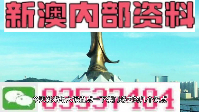 新澳天天開獎資料大全旅游團(tuán)，探索澳門的無限魅力與精彩彩票資訊，澳門探索之旅，新澳天天開獎資料大全與旅游團(tuán)精彩體驗