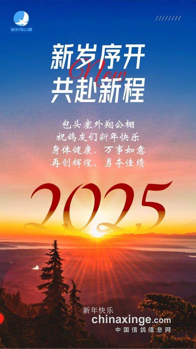 財經(jīng) 第11頁