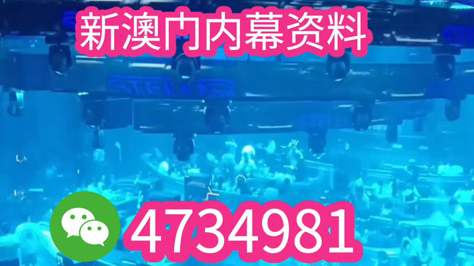新澳2025最精準(zhǔn)正最精準(zhǔn)王中王，揭秘預(yù)測真相與策略，揭秘新澳2025王中王預(yù)測真相與策略，最精準(zhǔn)分析助你掌握先機