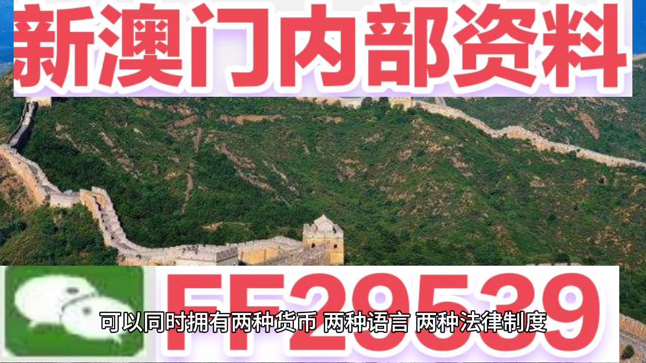 澳門今晚開獎結果 2024年最新回顧與預測，澳門今晚開獎結果回顧與預測，最新動態(tài)及未來展望（2024版）