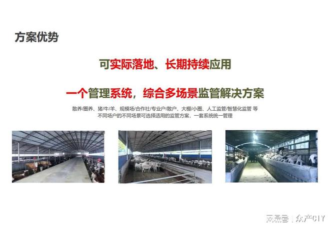 2025新澳芳草地正版資料免押，輕松獲取優(yōu)質(zhì)資源，2025新澳芳草地正版資料免費(fèi)獲取，優(yōu)質(zhì)資源輕松到手
