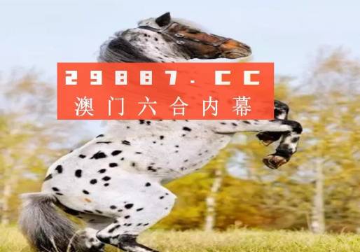 白小姐的精準免費四肖，揭秘預測真相，白小姐精準免費四肖揭秘，預測真相探秘