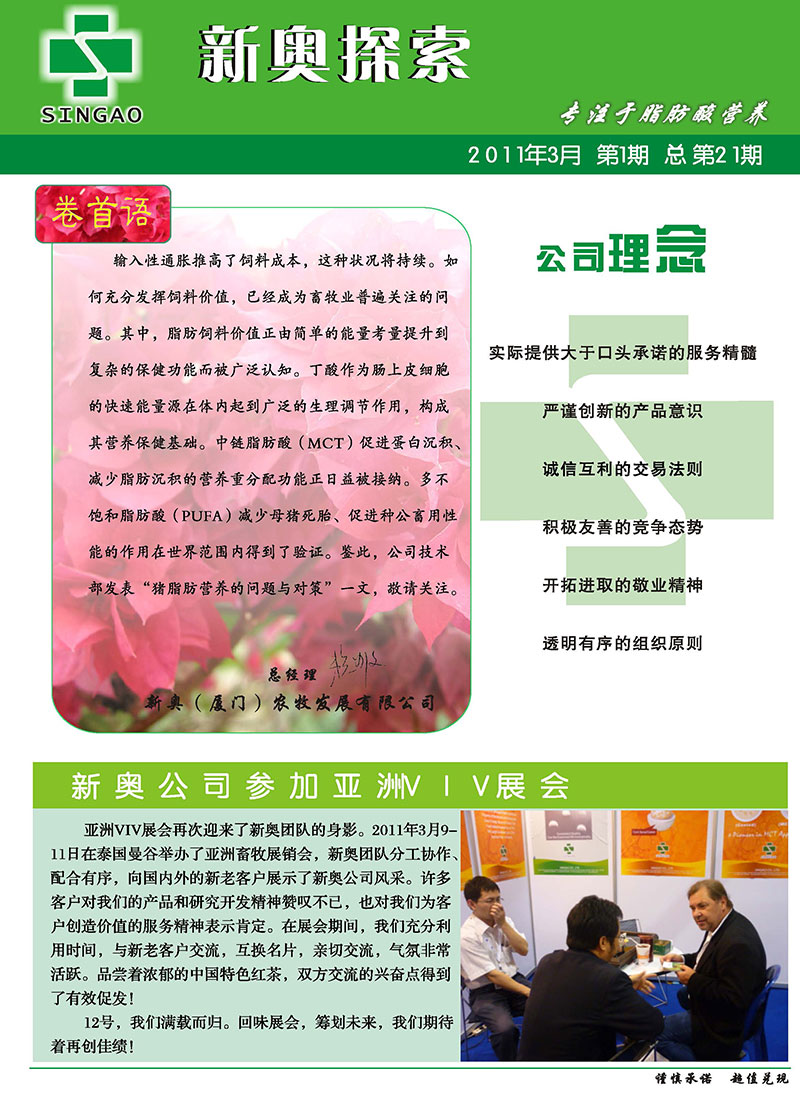 2025新澳正版資料查詢指南，2025新澳正版資料查詢手冊