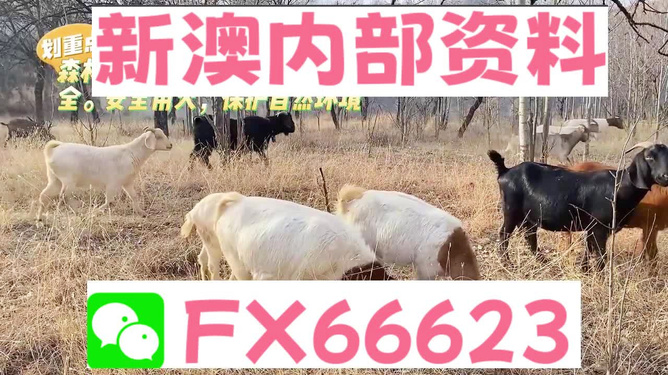 探索經(jīng)典，2005新澳正版兔費(fèi)大全，探索經(jīng)典，新澳正版兔費(fèi)大全（附深度解析）