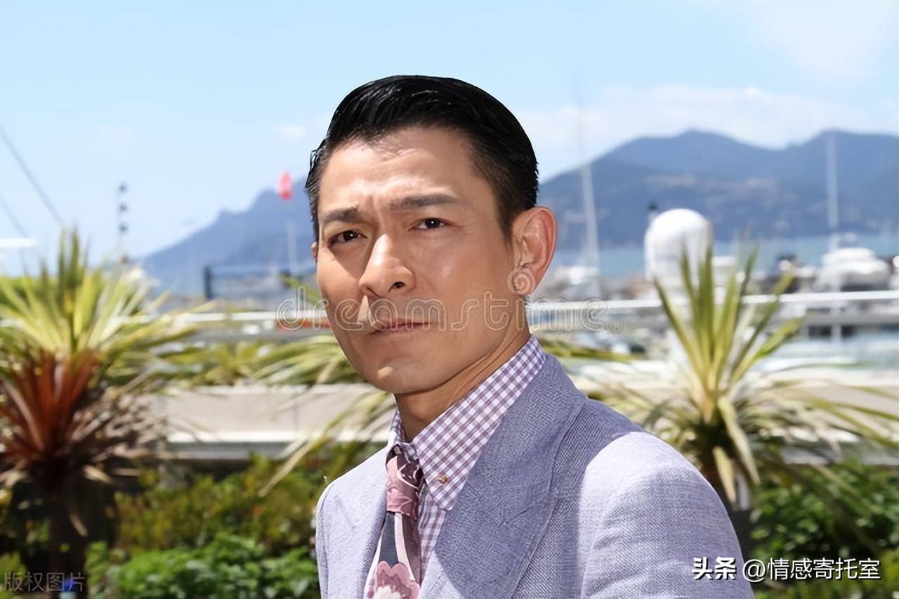 香港王中王開獎結果預測——揭秘彩票預測真相與策略，香港王中王彩票開獎結果預測揭秘，真相與策略探討