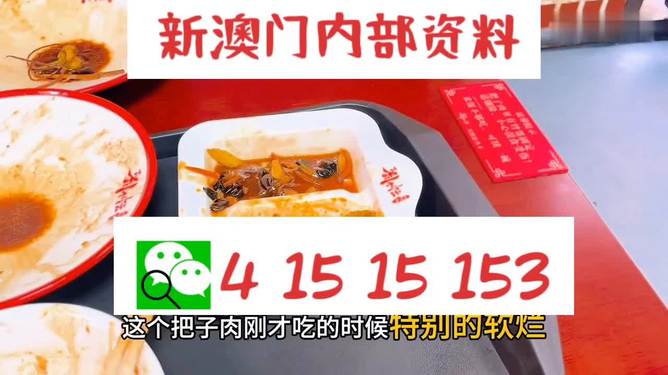 澳門王中王六碼新澳門，探索與解析，澳門王中王六碼新澳門，深度探索與解析