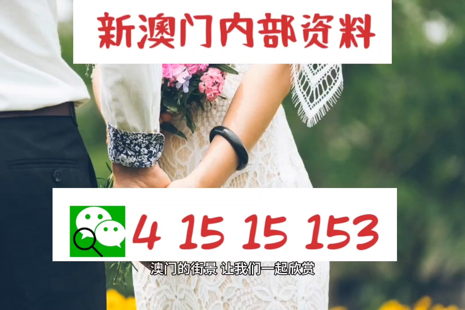 澳門資料大全正版資料查詢，探索澳門的文化與歷史之旅，澳門文化與歷史之旅，正版資料大全及探索之旅