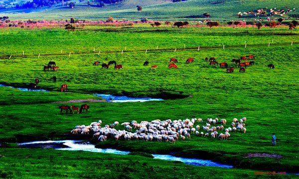 承德旅游景點大全，探索美麗的承德，承德旅游景點大全，探索承德之美