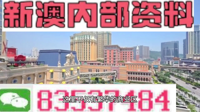 新澳新澳門正版資料，探索與解析，新澳新澳門正版資料深度解析與探索