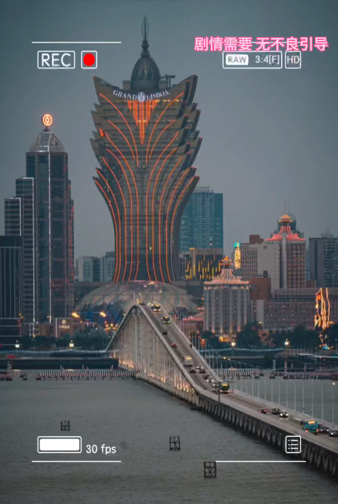 澳門搖錢樹開獎(jiǎng)最快——探索彩票世界的速度與機(jī)遇，澳門搖錢樹快速開獎(jiǎng)，彩票世界的速度與機(jī)遇探索