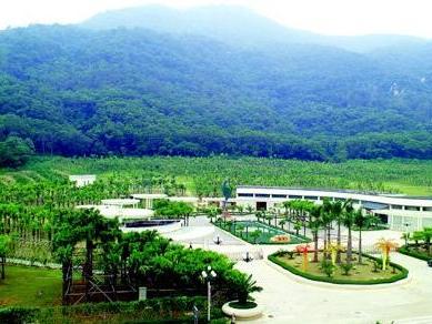 圭峰山國家森林公園，自然之美的展現(xiàn)，圭峰山國家森林公園，自然之美的絕佳展示地