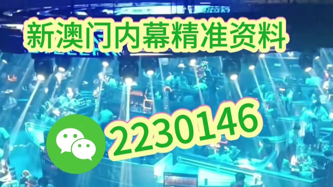 澳門今晚賽事前瞻及資料解析（2025年最新），澳門賽事前瞻與最新資料解析（2023年）