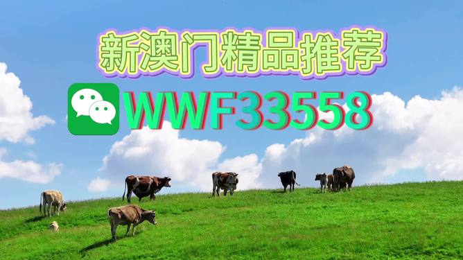 今晚9點30分特馬開彩，揭秘彩票背后的秘密與策略，彩票背后的秘密與策略揭秘，今晚9點30分特馬開彩揭曉時刻