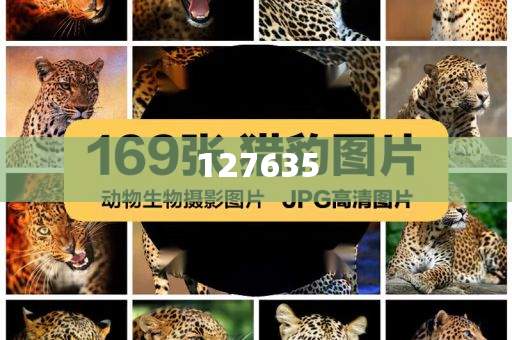 精準(zhǔn)新傳真，揭秘?cái)?shù)字77777與88888的神秘面紗下的SEO奧秘，揭秘?cái)?shù)字77777與88888的神秘面紗下的SEO奧秘，精準(zhǔn)新傳真解析