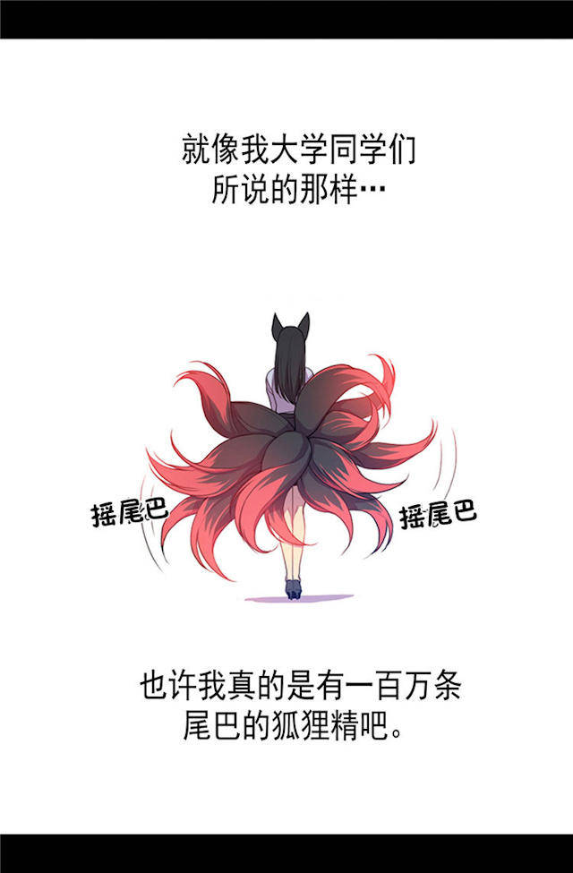 新奧門特免費資料大全火鳳凰，探索與揭秘，新奧門特火鳳凰免費資料大全，深入探索與揭秘
