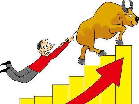 宏達(dá)新材股票，投資前景深度解析，宏達(dá)新材股票投資前景深度解析與展望