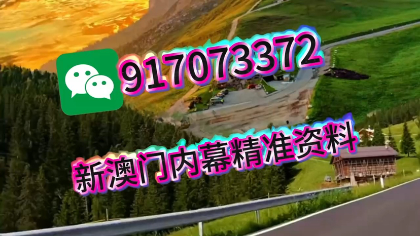 新澳門資料大全正版資料2025，全面解析與深度探索，新澳門資料大全正版資料深度解析與探索，2025年全面視角