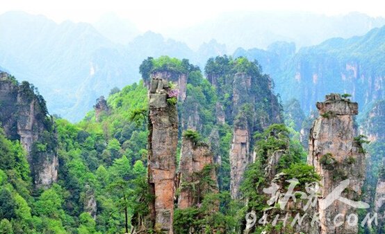 張家界旅游注意事項全解析，張家界旅游全攻略，注意事項詳解