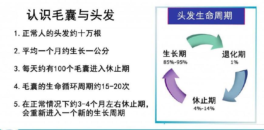 第355頁(yè)