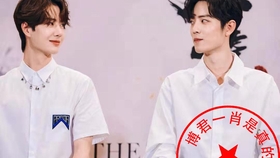 一肖二嗎，深度解析與SEO優(yōu)化策略，一肖二嗎，深度解析與SEO優(yōu)化策略探討