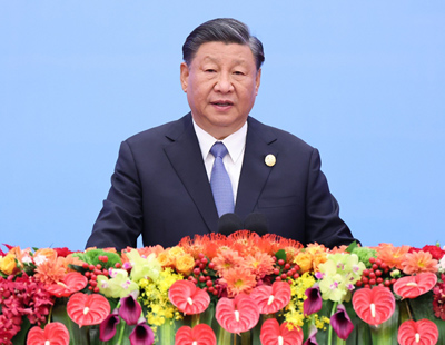 三肖王中王選一肖，揭秘背后的秘密與策略，揭秘三肖王中王選肖背后的秘密與策略