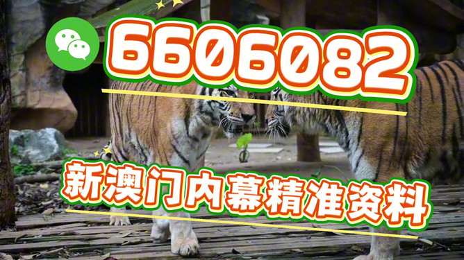 澳門必開一肖一特馬，揭秘背后的秘密與策略，澳門必開一肖一特馬背后的秘密與策略揭秘