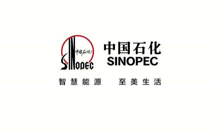 中國石化股吧，深度解析與前景展望，中國石化股吧深度解析及未來前景展望
