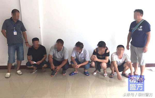 香港澳門六名彩開獎結(jié)果，揭秘彩票背后的秘密，揭秘香港澳門六名彩開獎結(jié)果背后的秘密