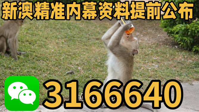 澳門今晚四不像正版圖片大全——深度解析與探索，澳門四不像正版圖片深度解析與探索之旅