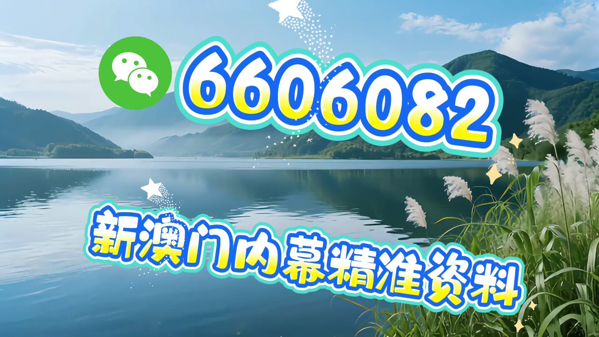 揭秘最準(zhǔn)一碼一肖，揭秘精準(zhǔn)預(yù)測的秘密，揭秘精準(zhǔn)預(yù)測一碼一肖的秘密真相
