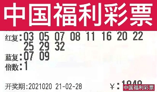 新澳門開獎號碼2025年開獎結果詳解，澳門開獎號碼2025年結果深度解析