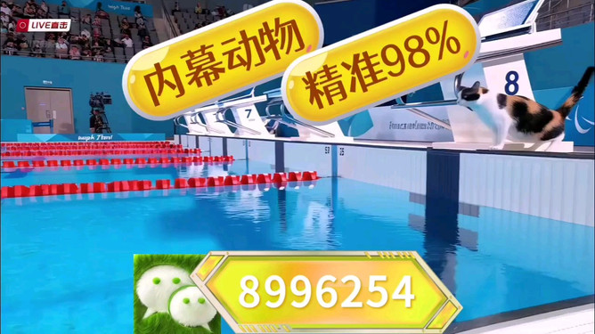 王中王493333中特馬今晚開獎(jiǎng)，探索彩票背后的秘密與策略，彩票背后的秘密與策略，王中王493333特馬今晚開獎(jiǎng)揭秘
