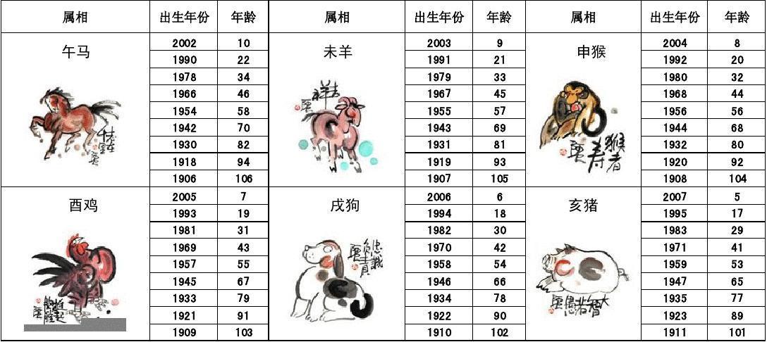 王中王十二生肖所屬之肖解析，王中王十二生肖解析揭秘