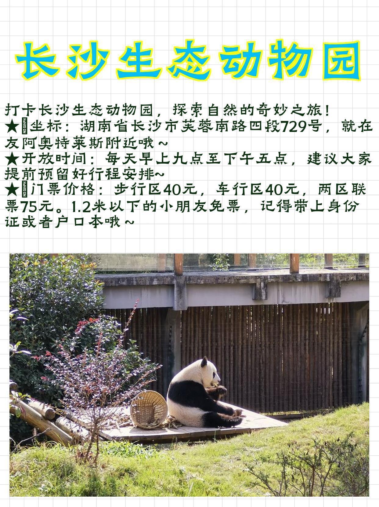 長(zhǎng)沙生態(tài)動(dòng)物園門(mén)票價(jià)格詳解，長(zhǎng)沙生態(tài)動(dòng)物園門(mén)票價(jià)格全面解析