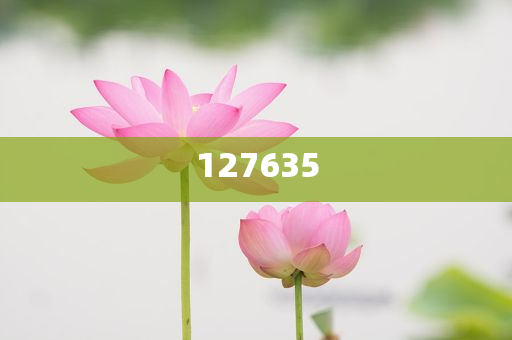 揭秘精準(zhǔn)新傳真背后的秘密，如何運用7777788888策略提升效率與成功率，揭秘精準(zhǔn)傳真背后的秘密，運用策略提升效率與成功率秘籍揭秘