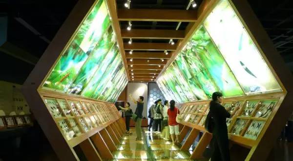 廈門科技館，探索科學(xué)的樂園，廈門科技館，探索科學(xué)的奇妙樂園